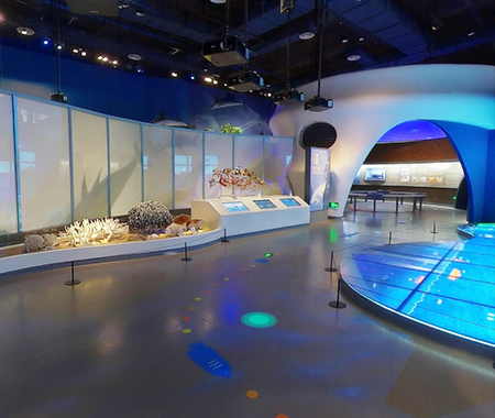 虚拟展厅“南海自然生态陈列”