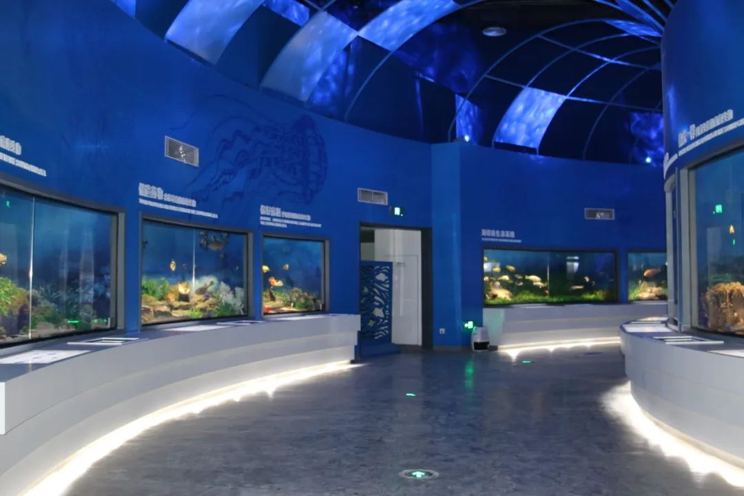 展厅