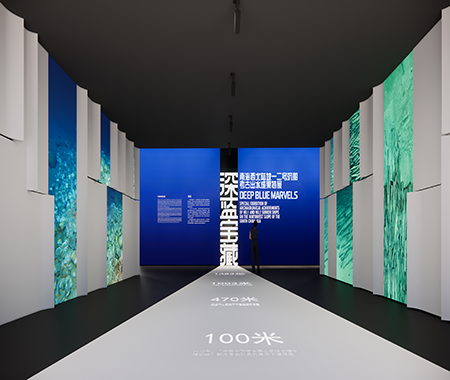 展览类型：专题展览展览位置：中国（海南）南海博物馆6号展厅深蓝宝藏——南海西北陆坡一二号沉船考古成果特展展览紧紧围绕两处沉船遗址的发现、调查、初步研究成果、拓展延伸、文物保护等方面，精选两处沉船遗址考古出水文物约408件（套），并向故宫博物院等五家文博单位借展相关文物34件（套），共计约442件（套），配以图文版面、情境设计、文物保护过程展示等手段，让人通过珍贵的出水文物、水下影像和考古故事，了解南海水下考古的重要发现，感受古代海上丝绸之路的历史魅力。 点击进入